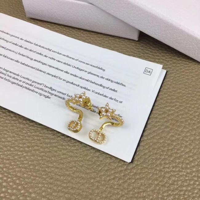 Dior Earrings CE5365