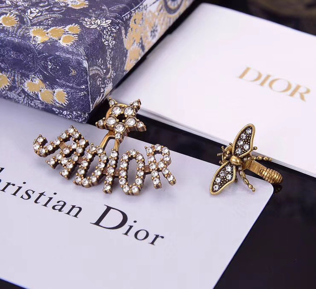 Dior Earrings CE5368