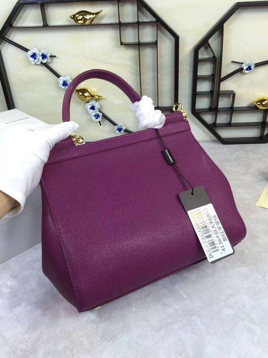 Dolce & Gabbana Origianl Leather 4136 violet