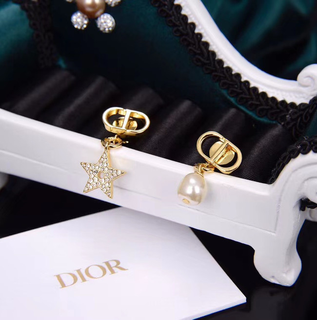 Dior Earrings CE5551