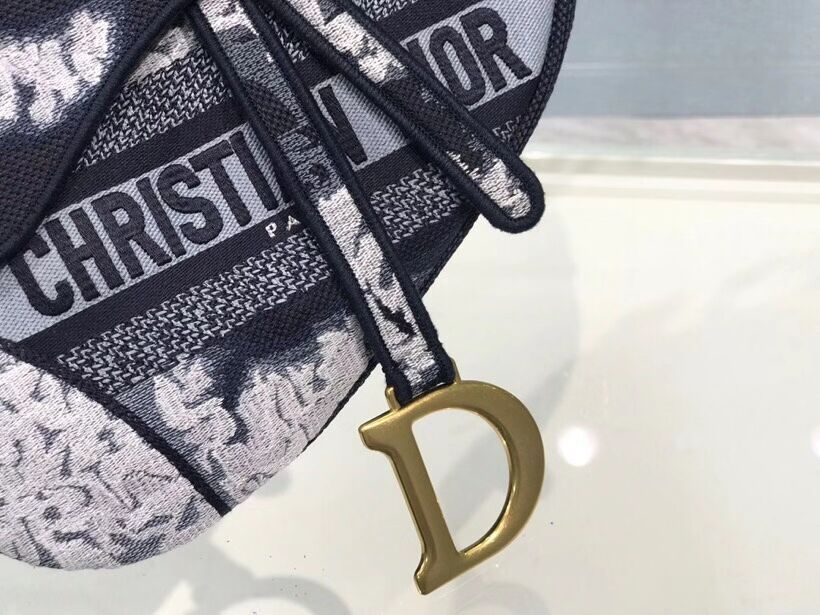 DIOR SADDLE CAMOUFLAGE POUCH D2456F GREY