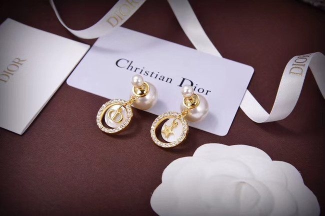 Dior Earrings CE5667