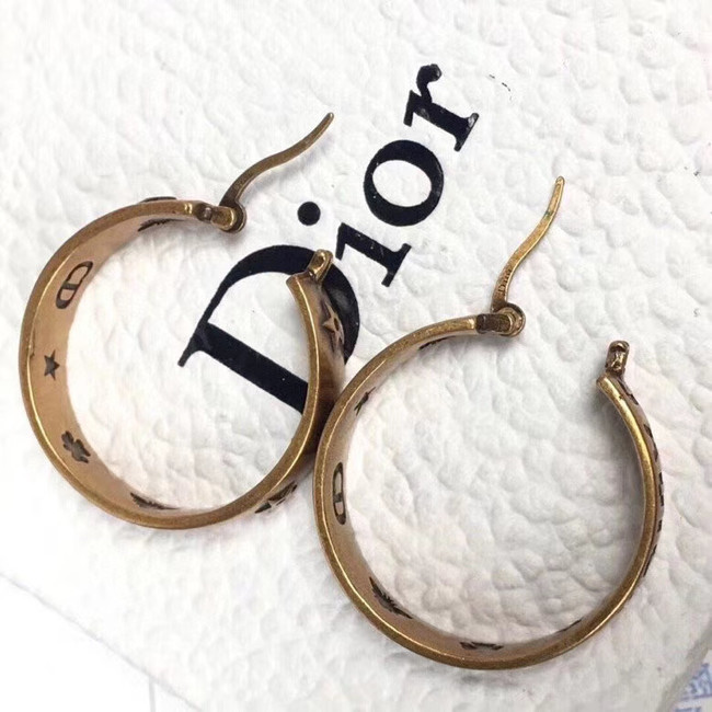 Dior Earrings CE5668