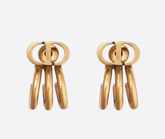 Dior Earrings CE5670