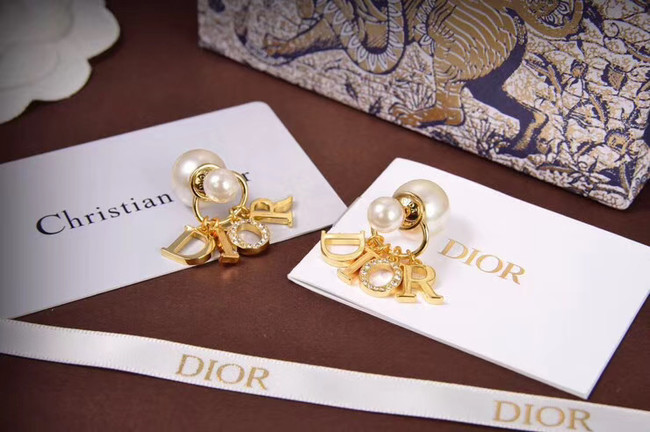 Dior Earrings CE5671