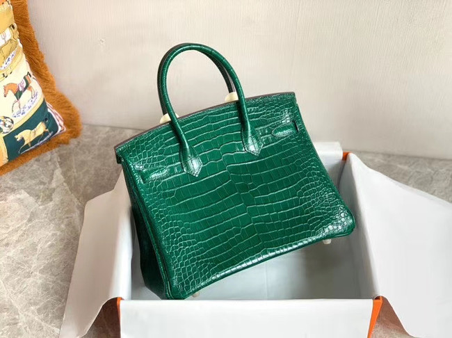 Hermes Birkin Bag Original Leather crocodile HBK35 green