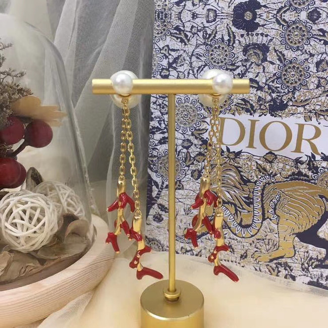 Dior Earrings CE5745