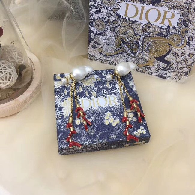 Dior Earrings CE5745