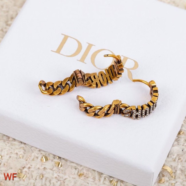 Dior Earrings CE5748