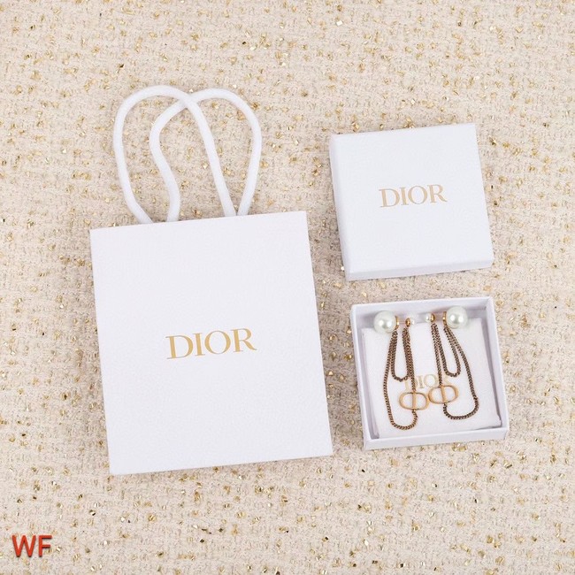 Dior Earrings CE5750