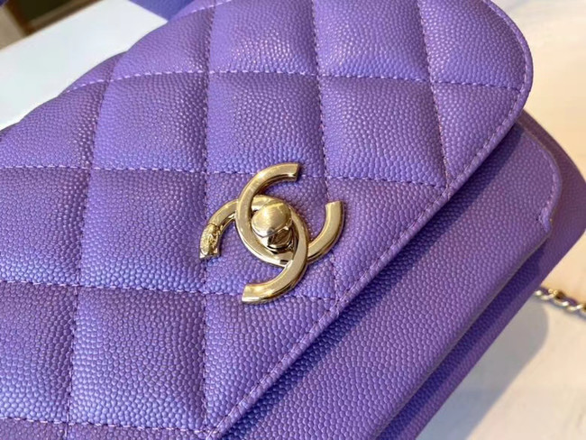 Chanel small flap bag Calfskin & Gold-Tone Metal A93749 purple