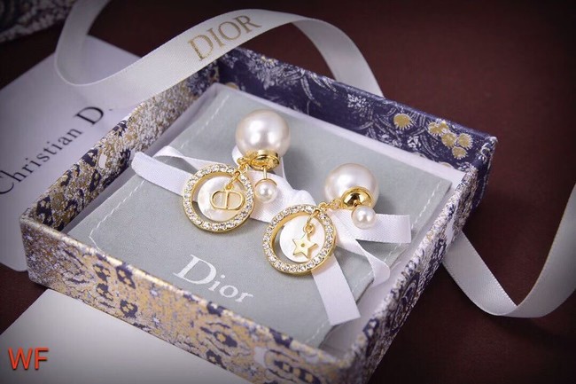 Dior Earrings CE5828