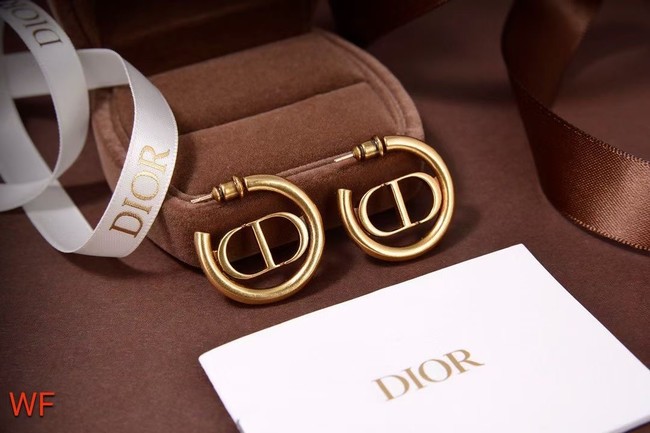 Dior Earrings CE5837