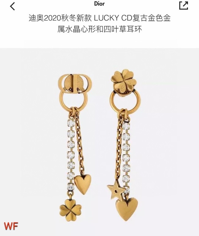 Dior Earrings CE5842