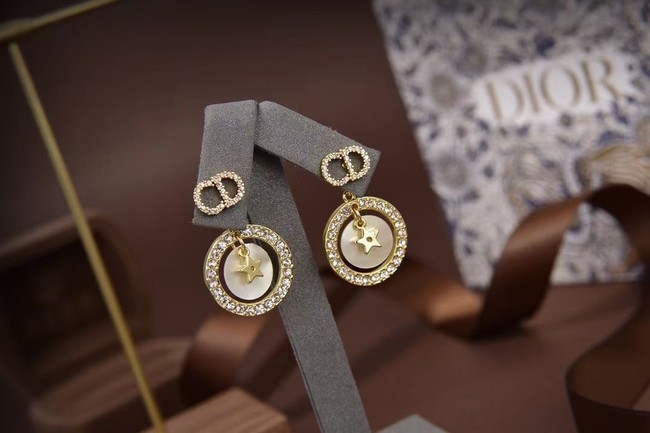 Dior Earrings CE5873