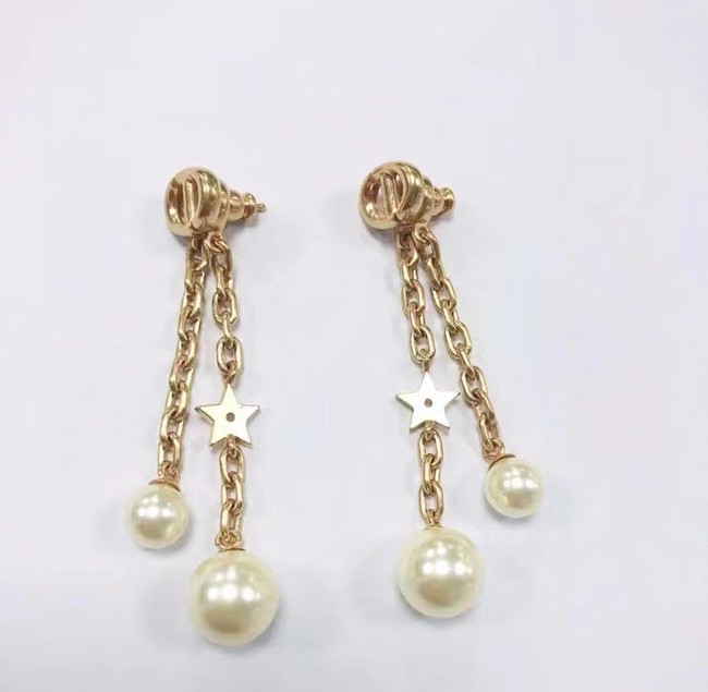 Dior Earrings CE5882