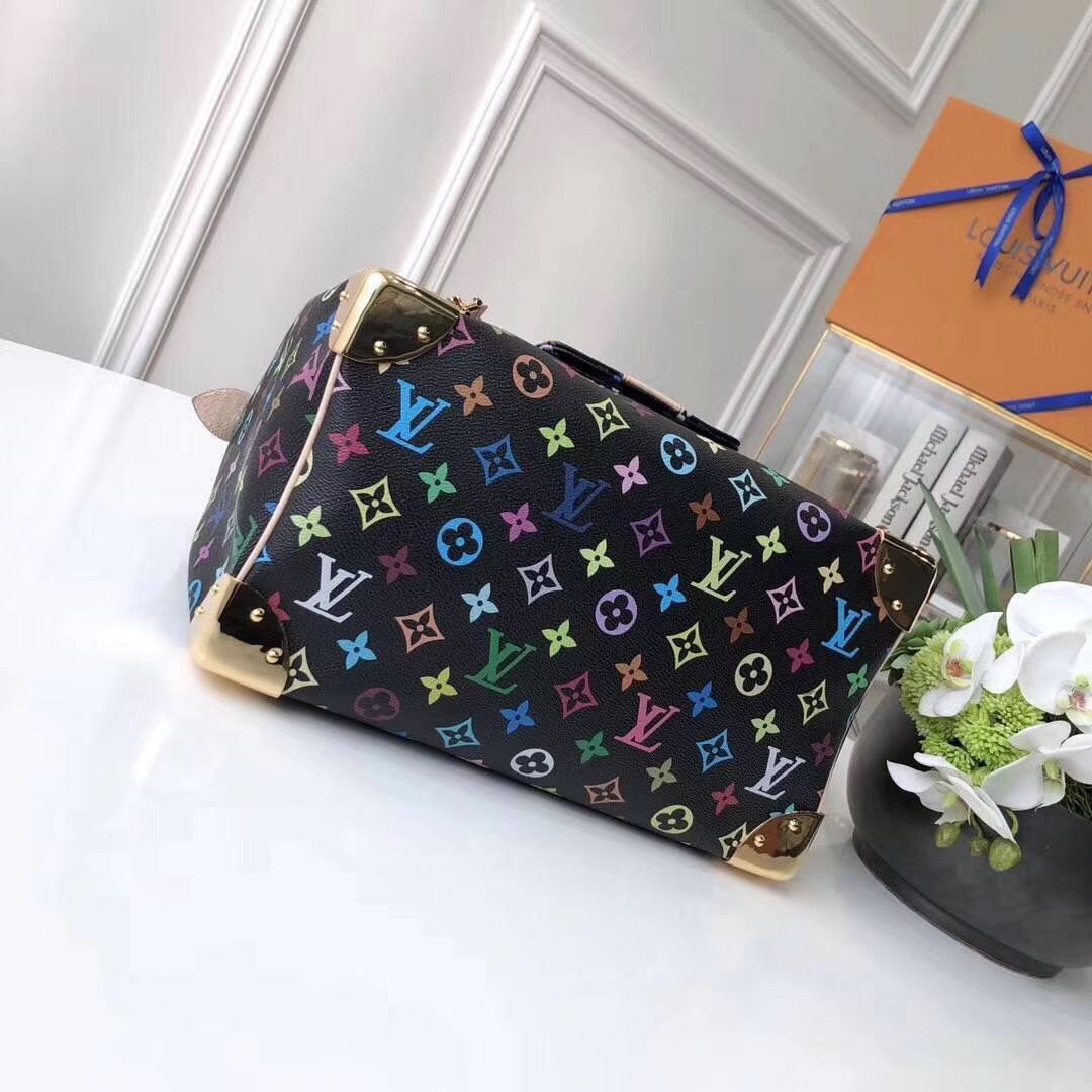 Louis Vuitton  Monogram canvas 2569 black