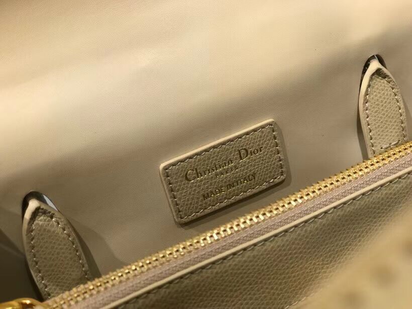 DIOR LARGE ST HONORE TOTE Grained Calfskin M9306UBAE apricot