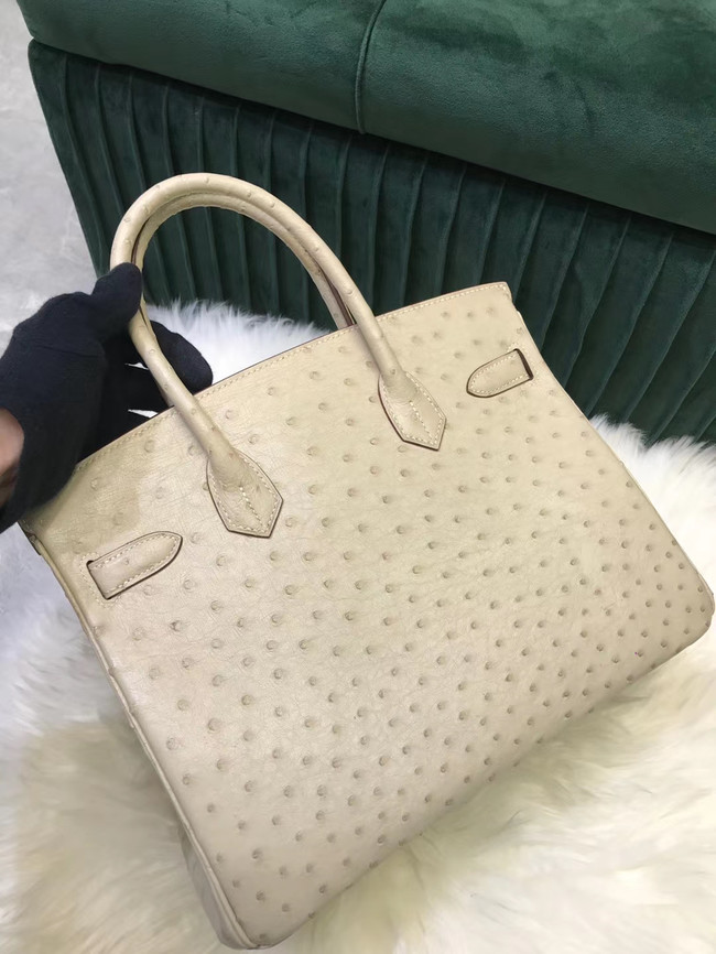 Hermes Birkin Bag Original Leather Ostrich skin HBK2530 cream