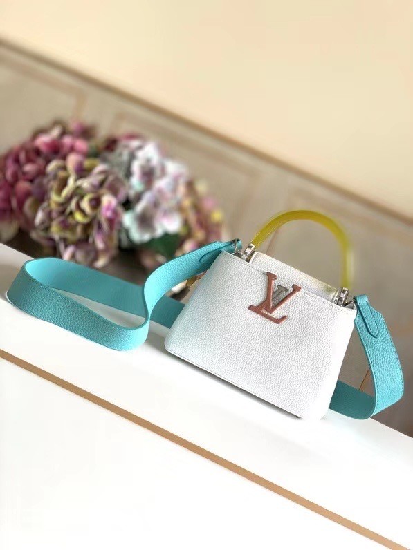 Louis vuitton CAPUCINES MINI M56072 WHITE