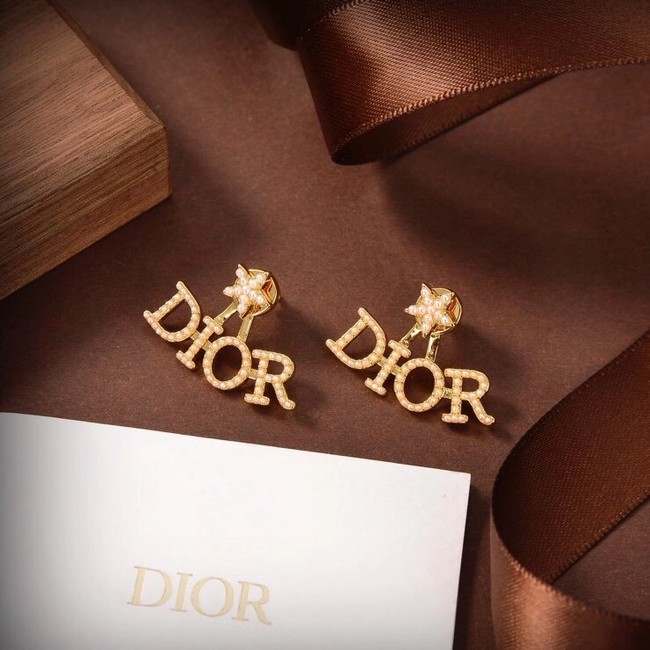 Dior Earrings CE6040