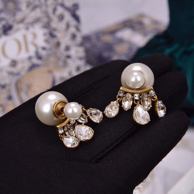 Dior Earrings CE6042