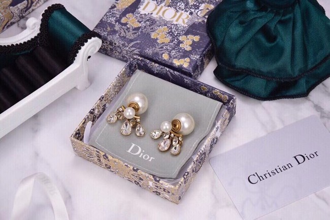 Dior Earrings CE6042