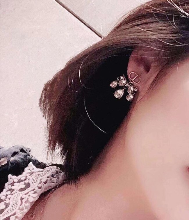 Dior Earrings CE6045