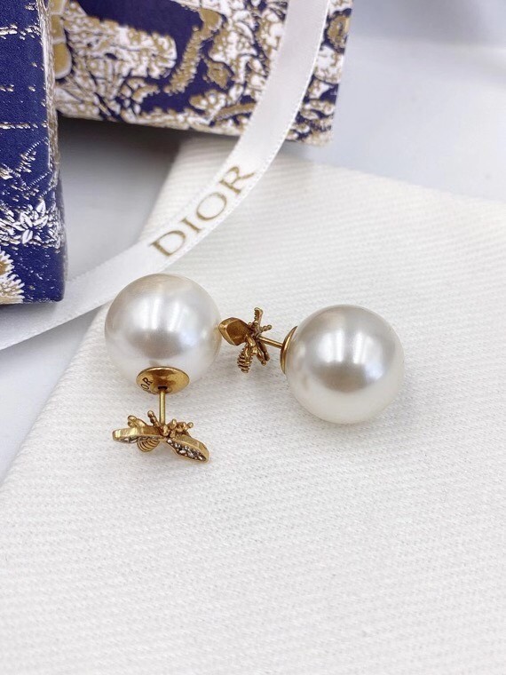 Dior Earrings CE6052