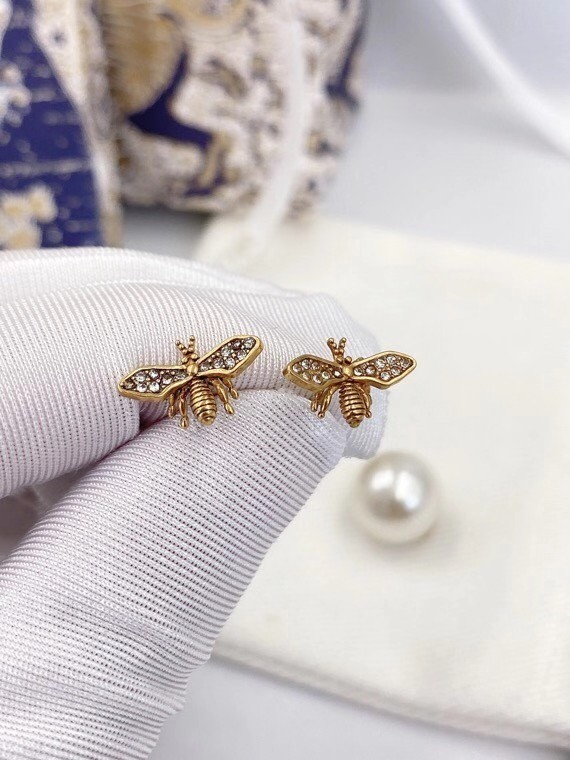 Dior Earrings CE6052