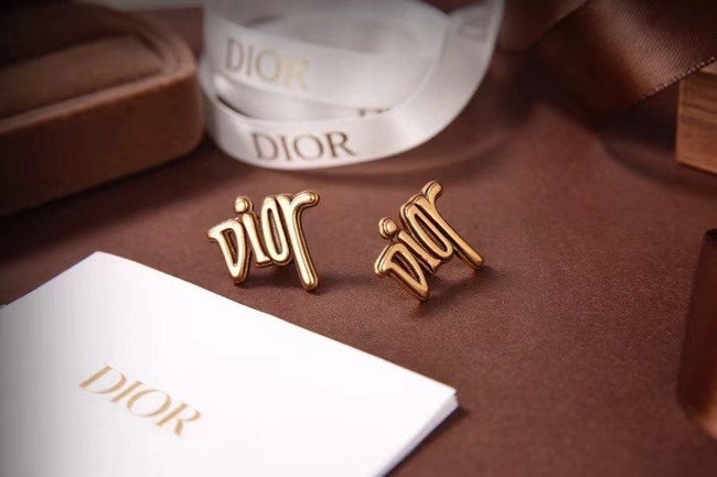 Dior Earrings CE6053