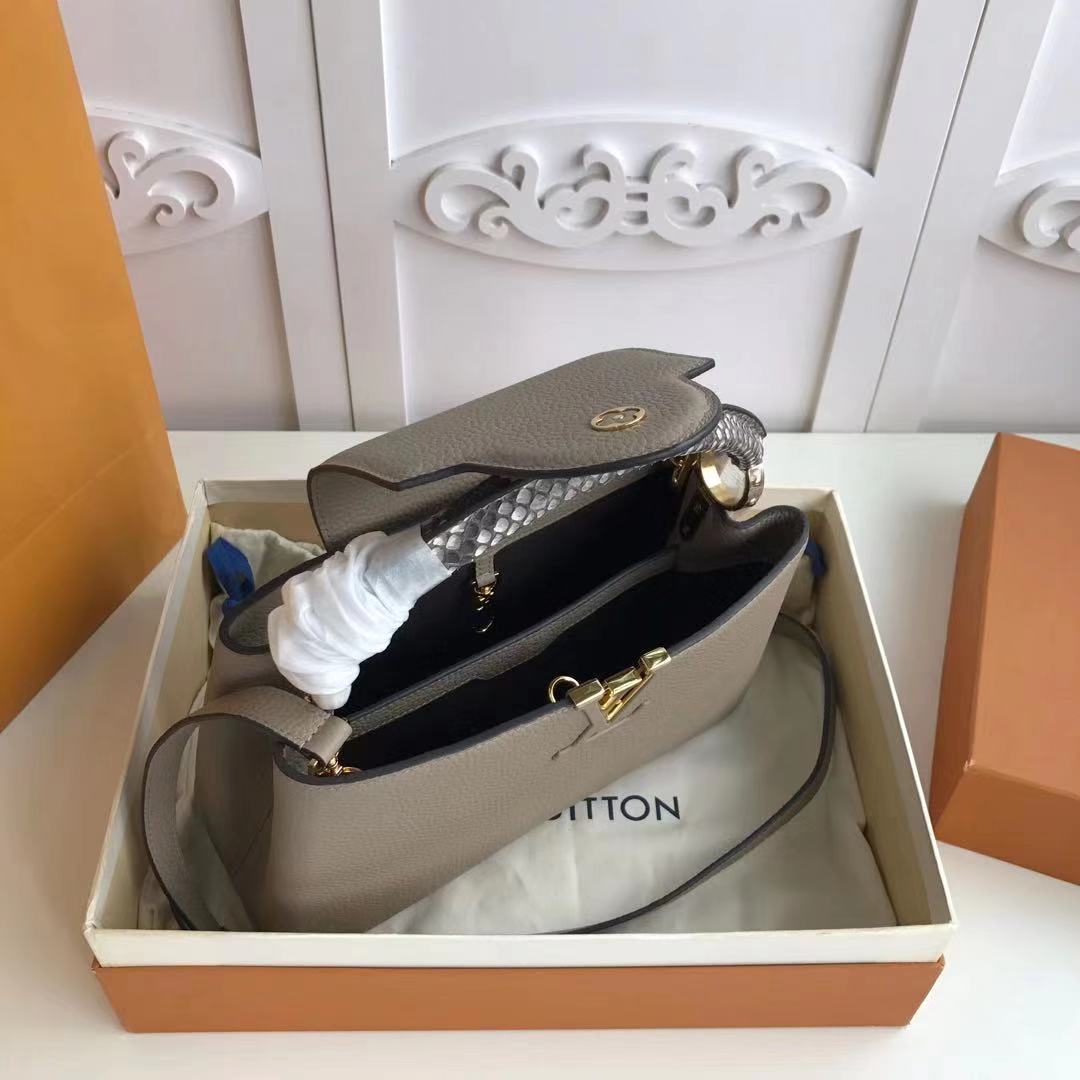 Louis Vuitton CAPUCINES PM M52386 grey