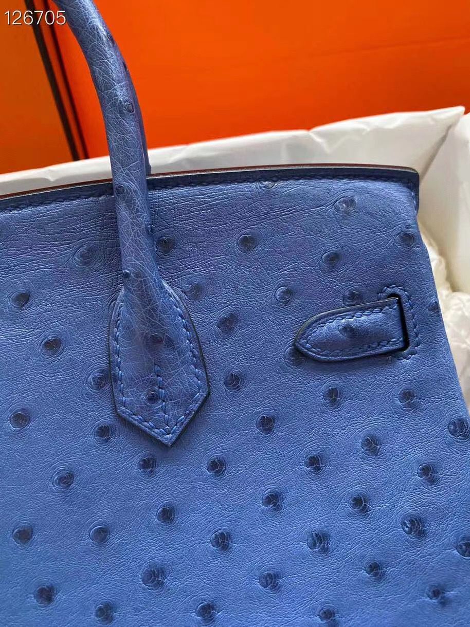 Hermes Birkin Bag Original Leather Ostrich Skin HBK2530 Dark Blue