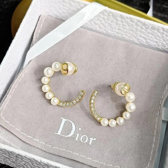 Dior Earrings CE6070