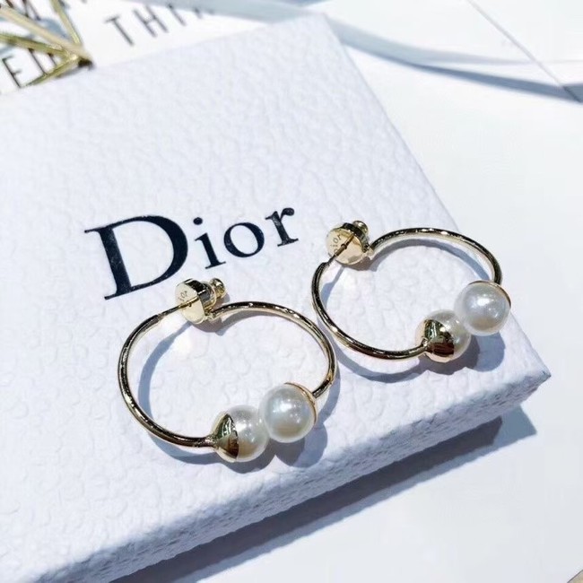 Dior Earrings CE6247