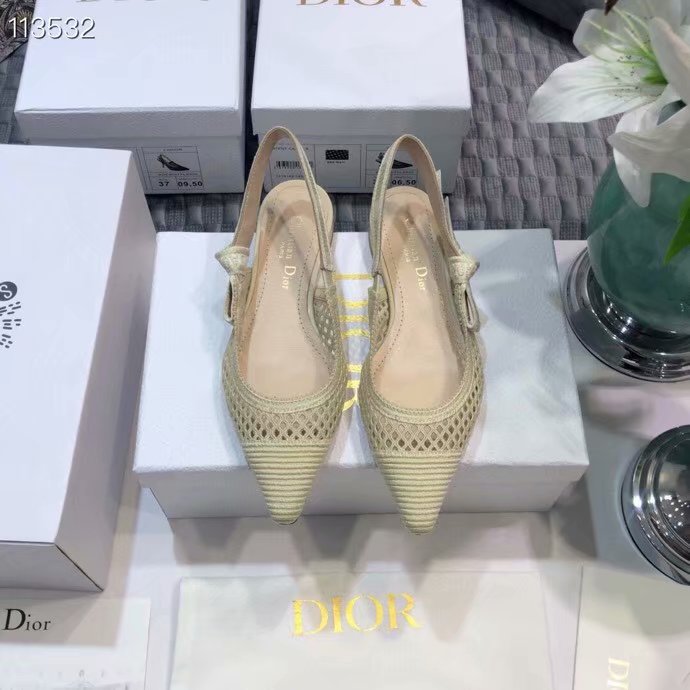 Dior Shoes Dior749DJC-6