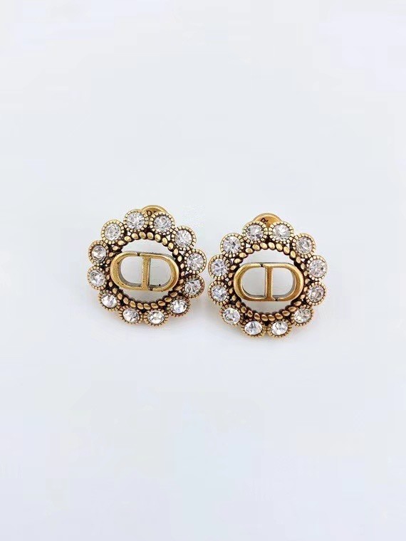 Dior Earrings CE6304