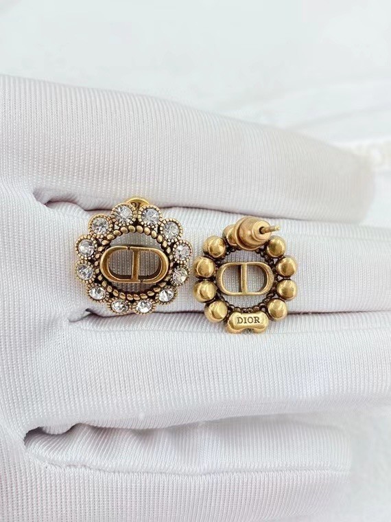 Dior Earrings CE6304