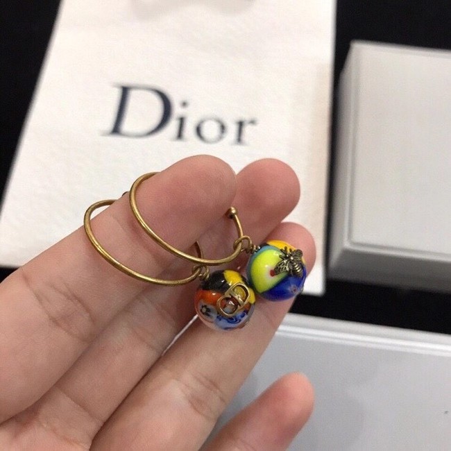 Dior Earrings CE6329