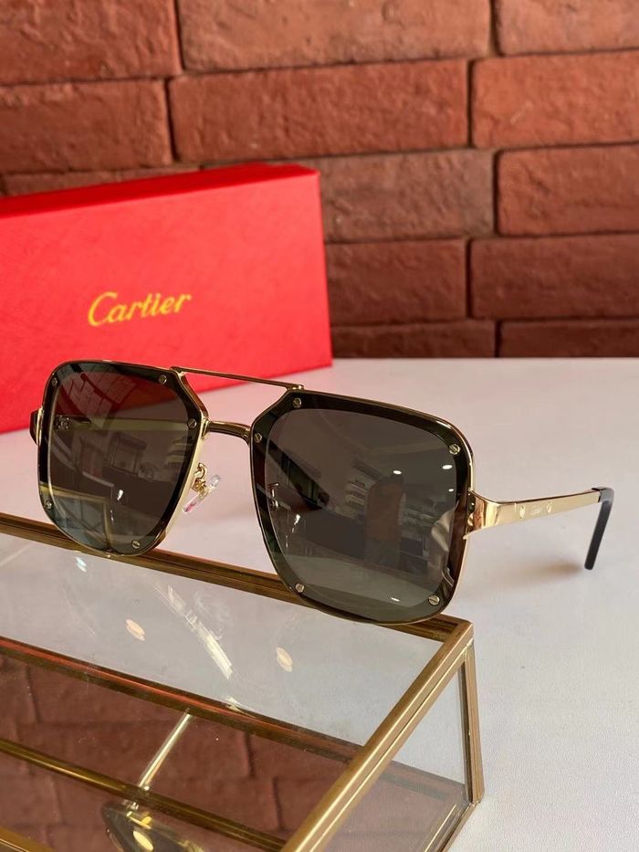 Cartier Sunglasses Top Quality B6001_0094