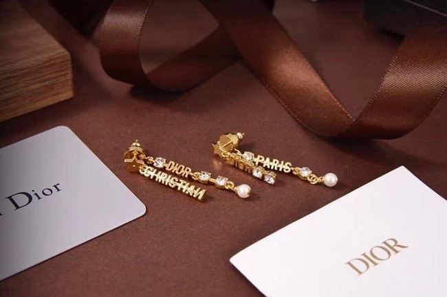 Dior Earrings CE6333