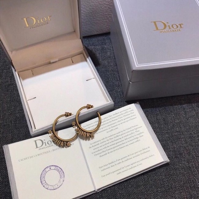 Dior Earrings CE6343