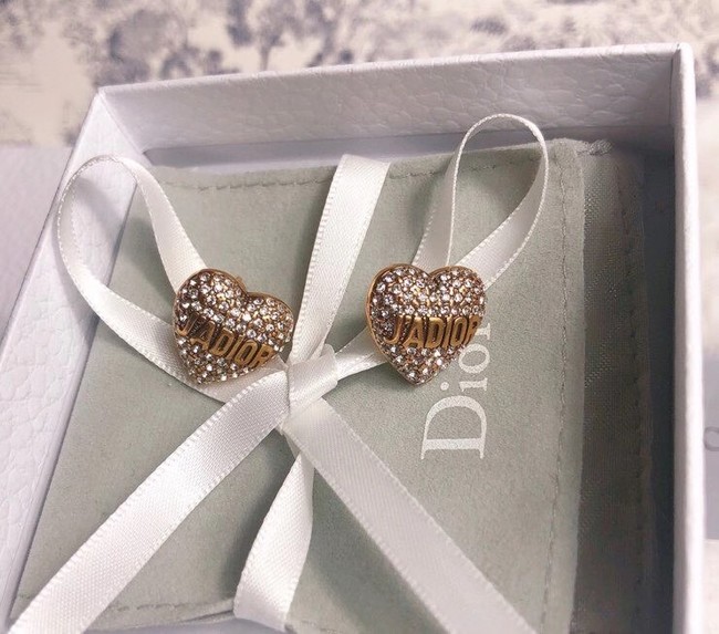 Dior Earrings CE6348