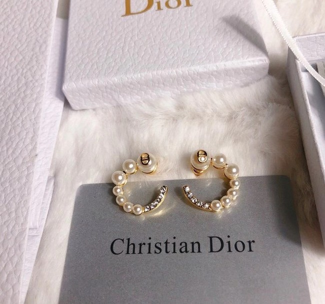 Dior Earrings CE6349