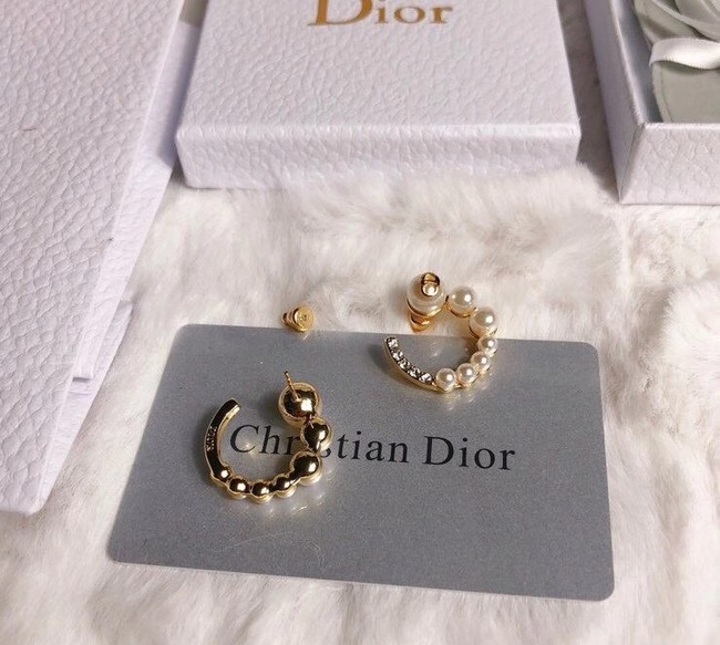 Dior Earrings CE6349