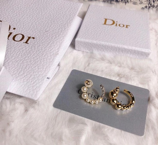 Dior Earrings CE6349