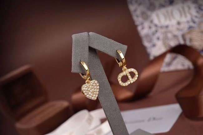 Dior Earrings CE6473