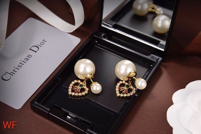 Dior Earrings CE6474