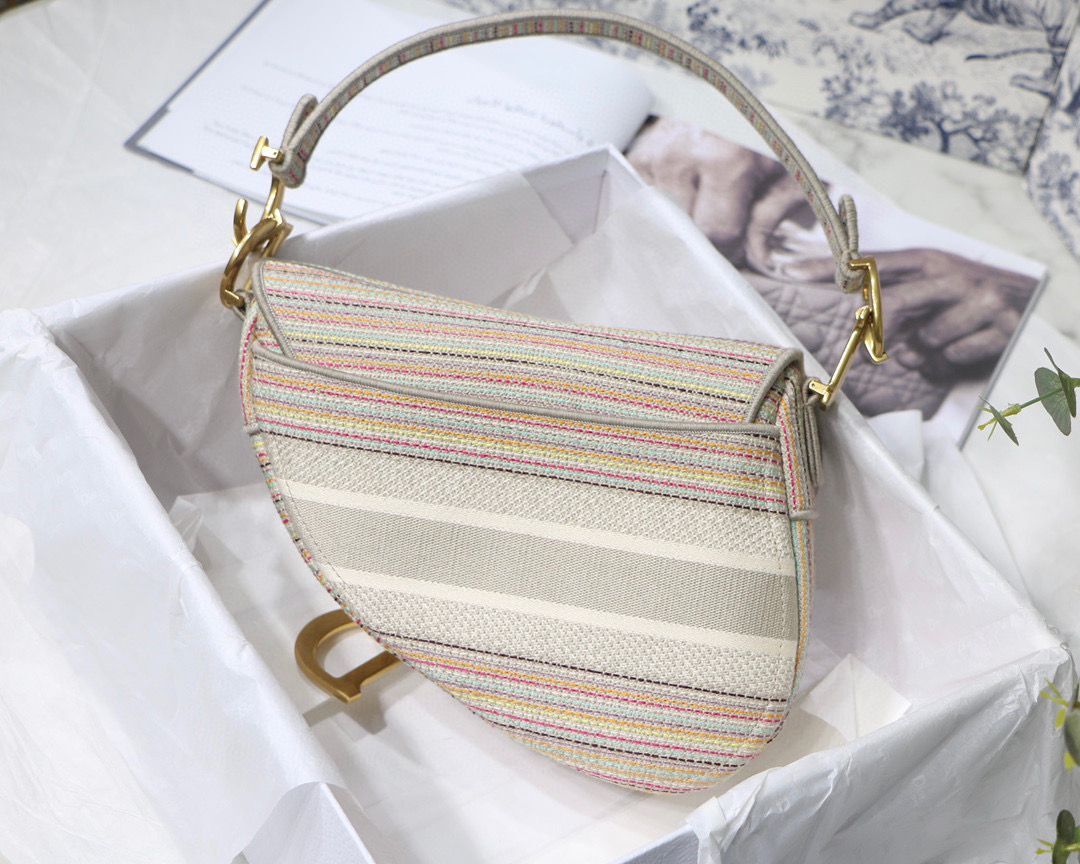 DIOR Embroidery Striped Color SADDLE BAG M0446C Beige