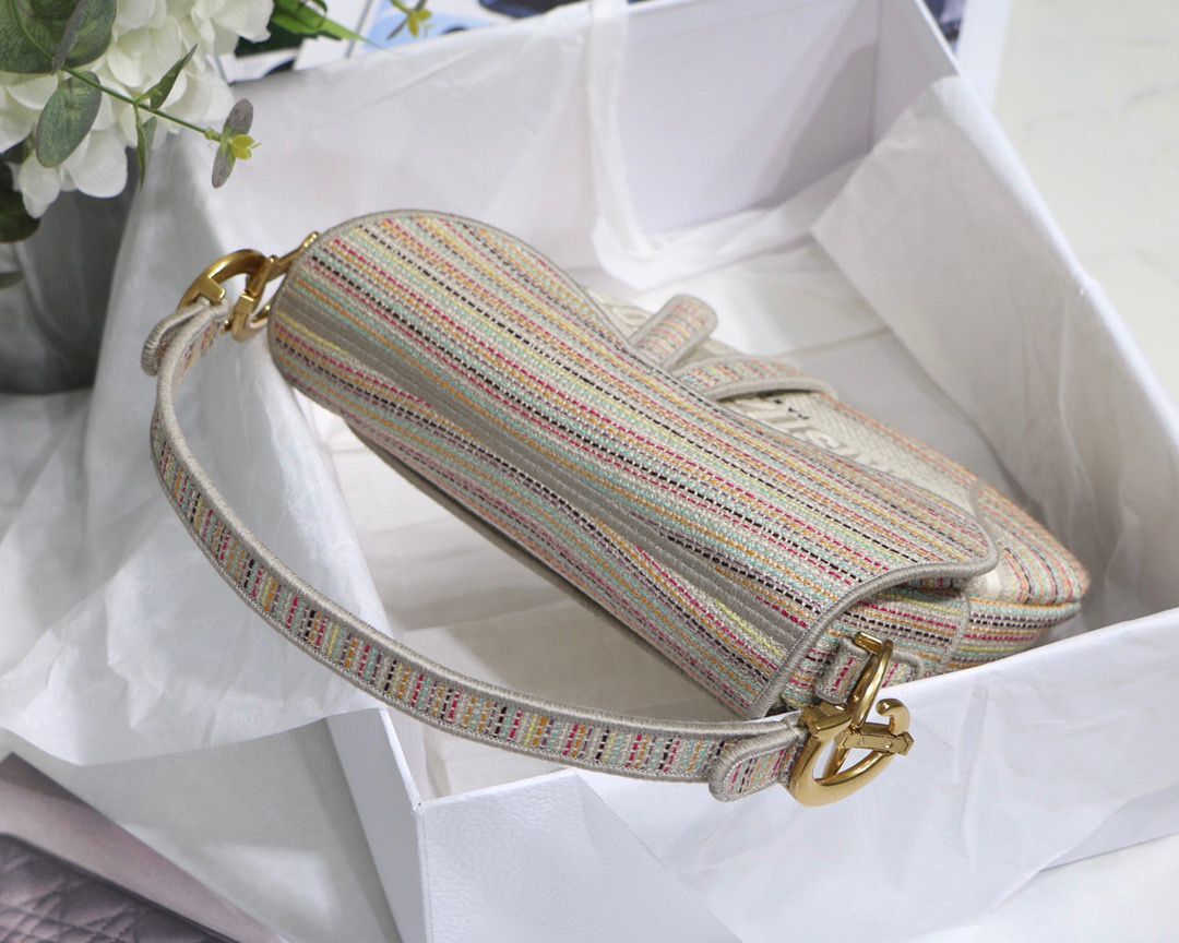 DIOR Embroidery Striped Color SADDLE BAG M0446C Beige